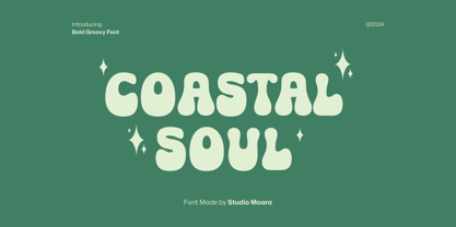 Coastal Soul Font Poster 1