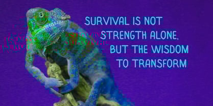 Merimon Font Poster 7