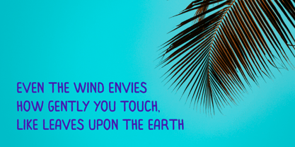 Merimon Font Poster 5