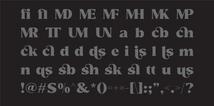 Reshiga Font Poster 9
