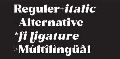 Reshiga Font Poster 3