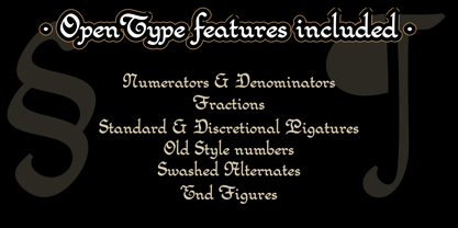 Proposicion 141 Font Poster 7