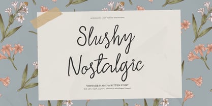 Slushy Nostalgic Font Poster 1