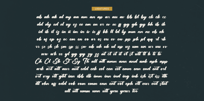 Yulinta Satin Font Poster 14