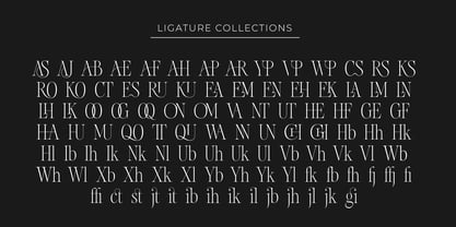 Chakem Font Poster 9