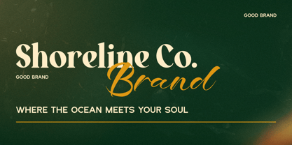 Chedis Script Font Poster 7