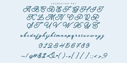 Bardeno Font Poster 9