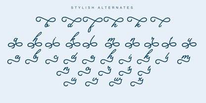 Bardeno Font Poster 8