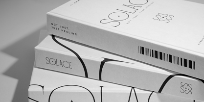 Float Serif Font Poster 5