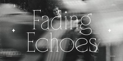 Float Serif Font Poster 4