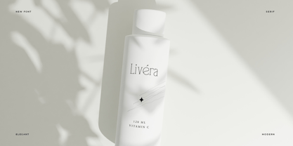 Float Serif Font Poster 6