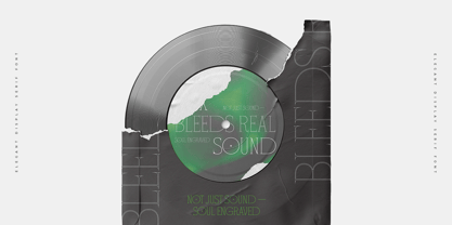 Float Serif Font Poster 9