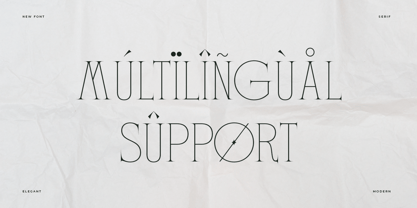 Float Serif Font Poster 8