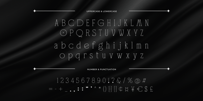 Float Serif Font Poster 7