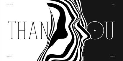 Float Serif Font Poster 12