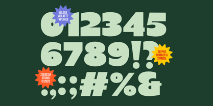 Milova Violatte Font Poster 13