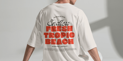 Milova Violatte Font Poster 4