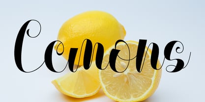 Soetham Script Font Poster 5