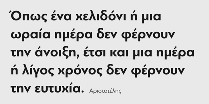 PF Bague Sans Pro Font Poster 11