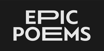 PF Bague Sans Pro Font Poster 7