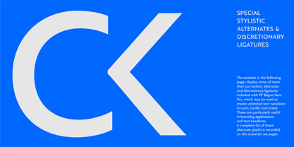 PF Bague Sans Pro Font Poster 6