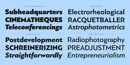 PF Bague Sans Pro Font Poster 9