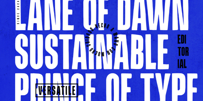 Breakbeat Ringtone Font Poster 9