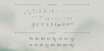 Arachis Font Poster 3