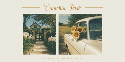 Arachis Font Poster 8