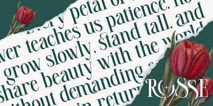 Malika Rosse Font Poster 5