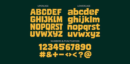 Junk Vault Font Poster 2