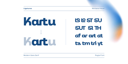 Rogta Modern Font Poster 6
