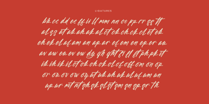 Aleghtoz Mountain Font Poster 14