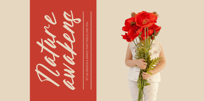 Aleghtoz Mountain Font Poster 10