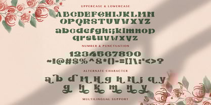Mibaguy Font Poster 8