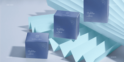 Symphonie Calligraphy Font Poster 11