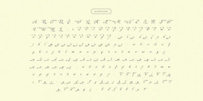 Symphonie Calligraphy Font Poster 10