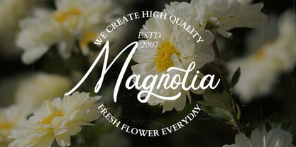 Lugston Font Poster 2