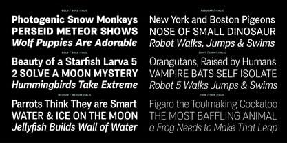 PF Das Grotesk Pro Font Poster 9