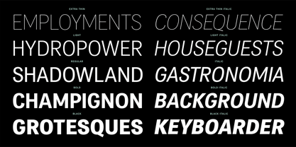 PF Das Grotesk Pro Font Poster 5