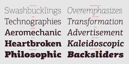 PF Centro Slab Pro Font Poster 7