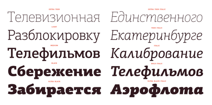 PF Centro Slab Pro Font Poster 13