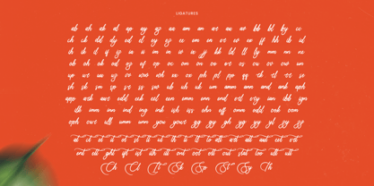 Uniquely Vifanite Font Poster 13