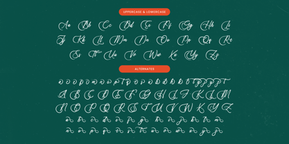 Uniquely Vifanite Font Poster 12