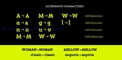 Hopera Slab Variable Font Poster 5