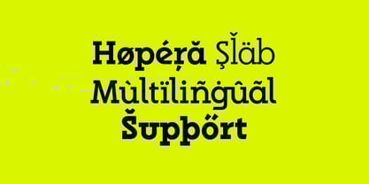 Hopera Slab Variable Font Poster 9