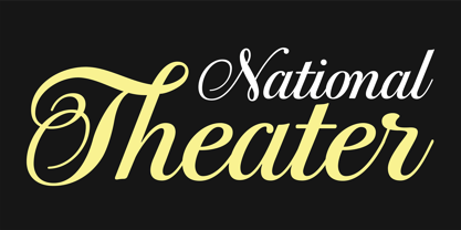 PF Bodoni Script Pro Font Poster 2