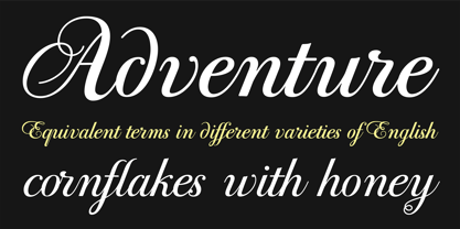 PF Bodoni Script Pro Font Poster 4