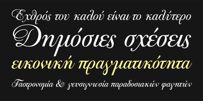 PF Bodoni Script Pro Font Poster 8