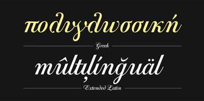 PF Bodoni Script Pro Font Poster 6